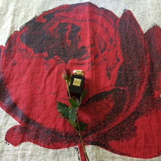 Armani Privé - Rose d'Arabie von Giorgio Armani