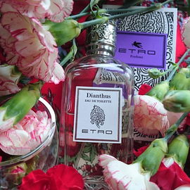 Rose Nue - Les Parfums de Rosine