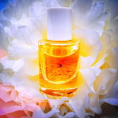 Wünsche allerseits ein geruhsames und duftendes Weihnachtsfest. (von Pistazieneis)