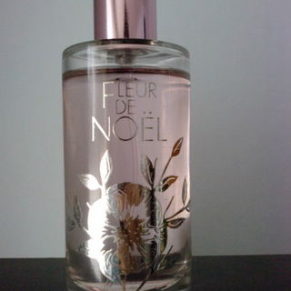 Fleur de Noël 2008 - Yves Rocher