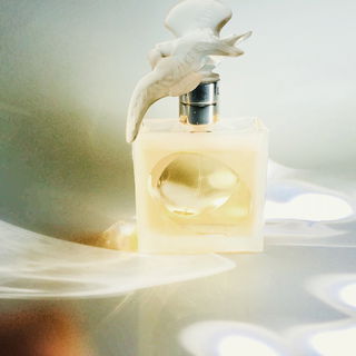 Voyage d'Hermès (Eau de Toilette) - Hermès