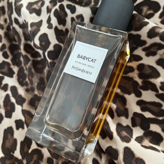 Babycat by Yves Saint Laurent