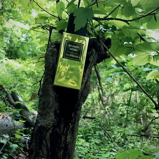 Splendid Wood - Yves Saint Laurent
