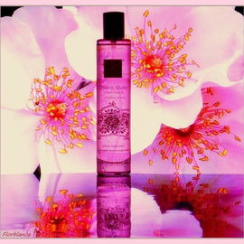 The Ritual of Ayurveda / Chakra Water - Indian Rose & Himalaya Honey - Rituals