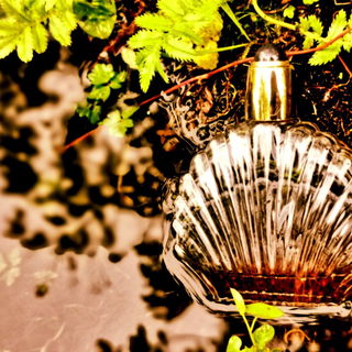 Black Pearls (Eau de Parfum) - Elizabeth Taylor