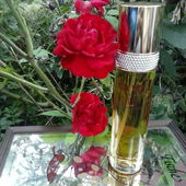 Rose Caprice (von pudelbonzo)