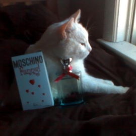 Funny! - Moschino