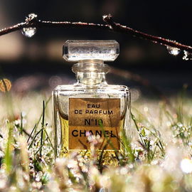 N°19 (Eau de Parfum) - Chanel