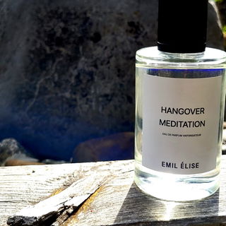 Hangover Meditation - Emil Élise