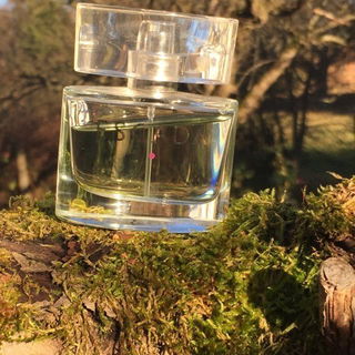 Escada (2005) - Escada