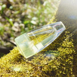 New Experience Man (Eau de Toilette) - Tom Tailor