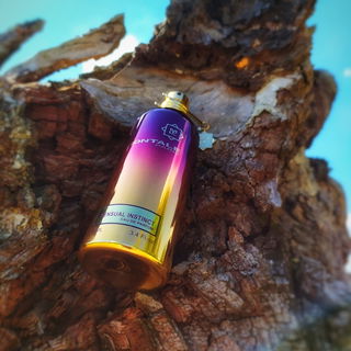 Sensual Instinct - Montale