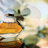 ... mit gehissten Segeln gen Frühling ... ;)) (von IrisNobile)