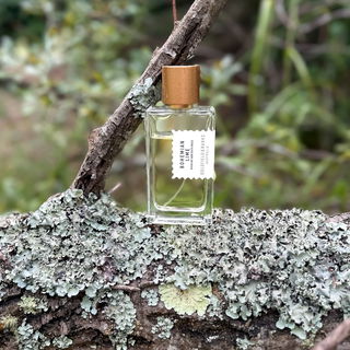 Bohemian Lime by Goldfield & Banks