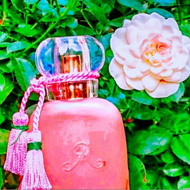 Rose Nue - Les Parfums de Rosine
