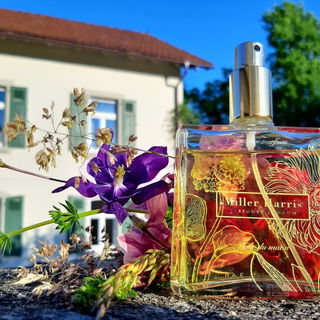 Morgensonne für *Fleur du matin*, herrlicher vintage-Duft! Dank an @Jakoparfum für diesen Schatz!