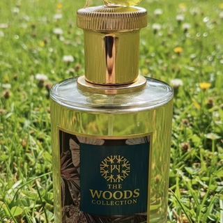 Eden by The Woods Collection