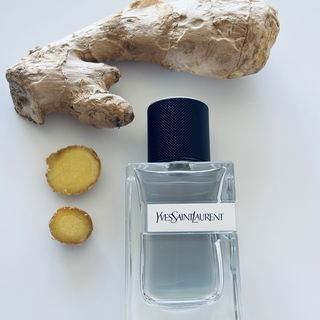 Y (2022) (Eau de Toilette) - Yves Saint Laurent
