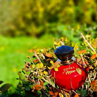 Sweet Hope von La Rive