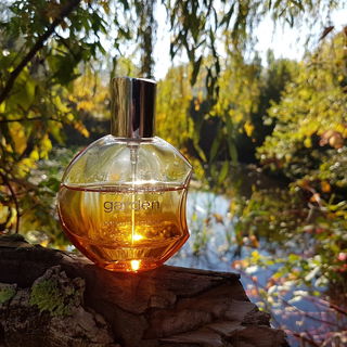 Sensual Amber - Essential Garden