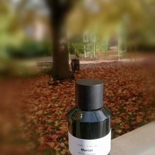 Marcel by Marie Jeanne