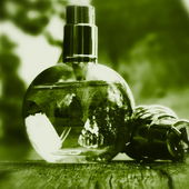 Eine kleine grüne Oase, gefangen im Flakon (von Gandix)