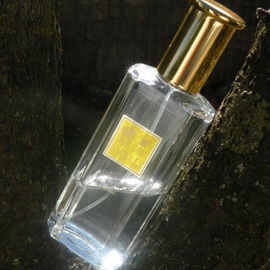 Daisy Sapphire / English Daisy / Royal English Daisy - Yardley