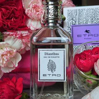 Dianthus by Etro