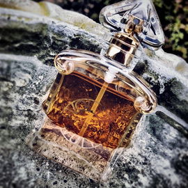 Vol de Nuit Évasion - Guerlain