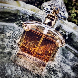 Vol de Nuit Évasion - Guerlain