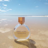 Algarve, Praia da Falesia Alfamar, am Adriana Beach Hotel (by Irini)