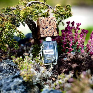 Baraonda (Extrait de Parfum) von Nasomatto
