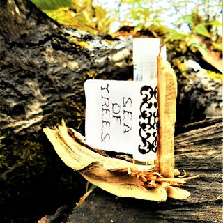 Holzschiffchen im Holzmeer