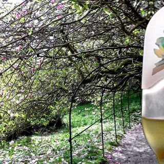 Le Jardin de Max Factor (Eau de Toilette) - Max Factor