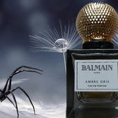 Spinnen haben keine Nasen, können aber Düfte erkennen über die Beinenden. Diese hier hat offensichtlich Lust auf Ambre Gris. ;-) (by Parfumine)