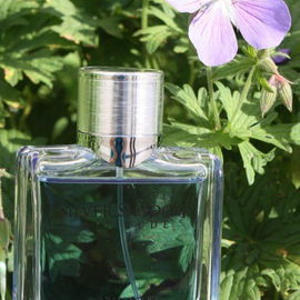 Silver Shadow Altitude (Eau de Toilette) - Davidoff