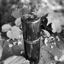 Coriandre (Eau de Toilette) - Jean Couturier