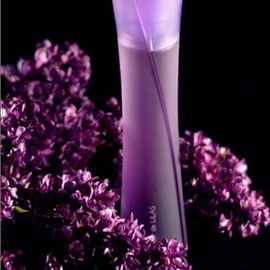 Nuit d'Orchidée - Yves Rocher