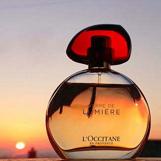 Terre de Lumière (Eau de Parfum) - L'Occitane en Provence