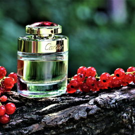 Ich danke Euch für so viel Zuspruch! Ich liebe Johannisbeeren und der Duft riecht für mich nach diesen kleinen roten lustigen Kügelchen :)