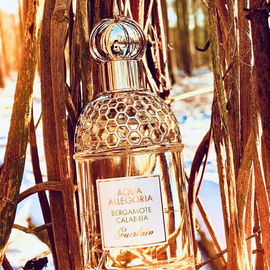 Aqua Allegoria Bergamote Calabria - Guerlain