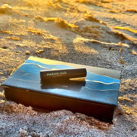 Mehr Meer (die ursprünglich gedachte Aufnahme ist im Album gelandet) - Vielen Dank an alle, die mitgereist sind 🌊💛