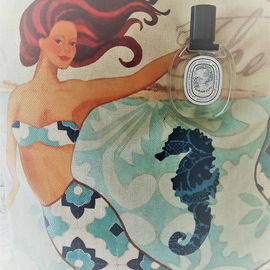 Virgin Island Water - Creed