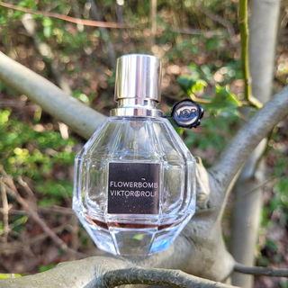Flowerbomb (Eau de Parfum) von Viktor & Rolf