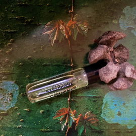 Sycomore (2016) (Eau de Parfum) - Chanel