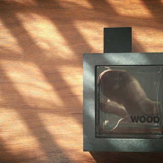 He Wood Silver Wind Wood von Dsquared²