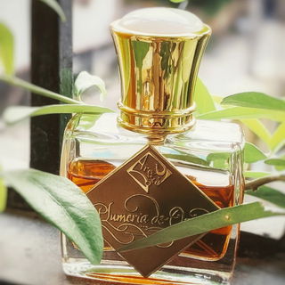 Plumeria de Orris - Areej Le Doré