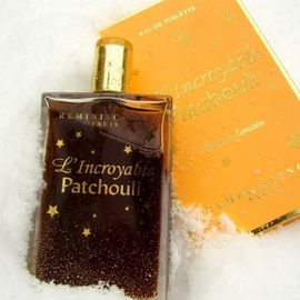 L'Incroyable Patchouli - Réminiscence
