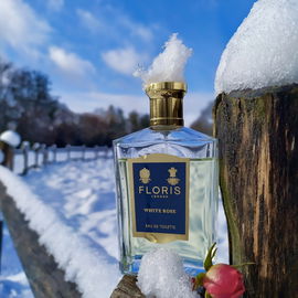 White Rose (Eau de Toilette) - Floris