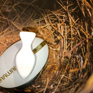 A Wind blew outside this Cuckoos Nest